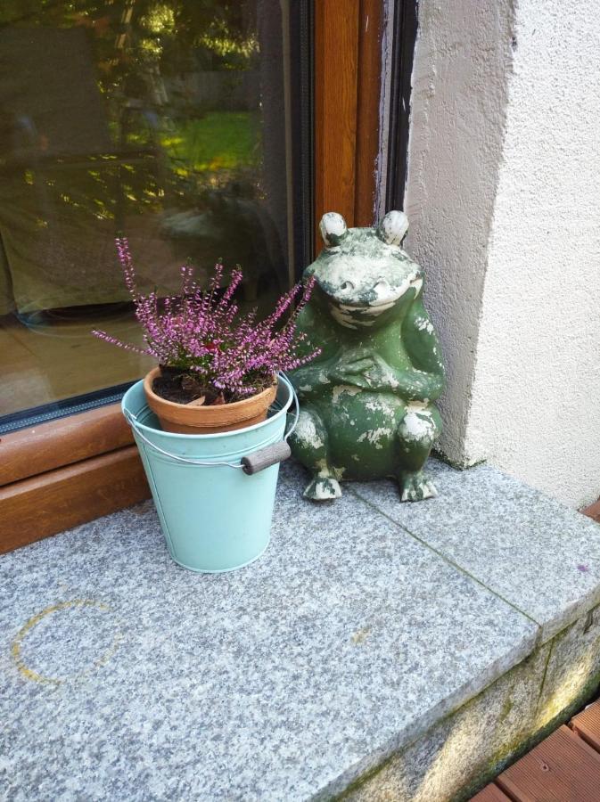 Marlove Apartment ヴロツワフ エクステリア 写真